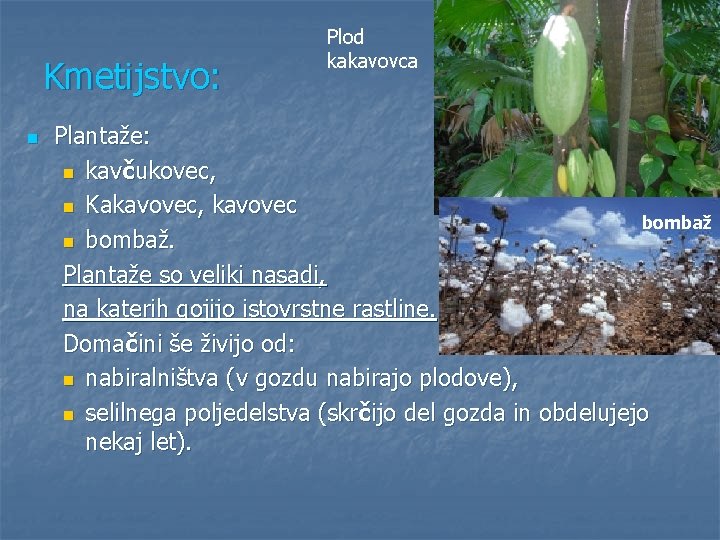 Kmetijstvo: n Plod kakavovca Plantaže: n kavčukovec, n Kakavovec, kavovec bombaž n bombaž. Plantaže Kmetijstvo: n Plod kakavovca Plantaže: n kavčukovec, n Kakavovec, kavovec bombaž n bombaž. Plantaže