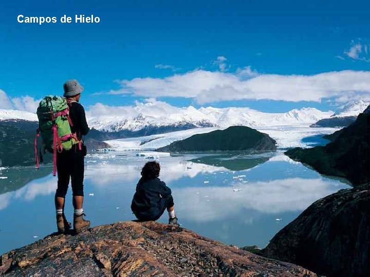 Campos de Hielo Campos de Hielo