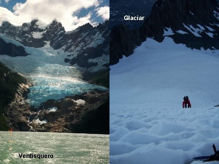 Glaciar Ventisquero Fauna Introducida Glaciar Ventisquero Fauna Introducida