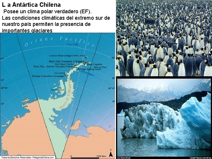 L a Antártica Chilena Posee un clima polar verdadero (EF). Las condiciones climáticas del L a Antártica Chilena Posee un clima polar verdadero (EF). Las condiciones climáticas del