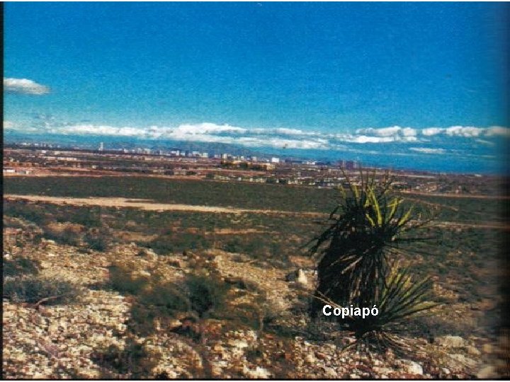 Copiapó Copiapó