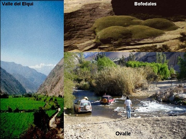Valle del Elqui Bofedales Ovalle Valle del Elqui Bofedales Ovalle