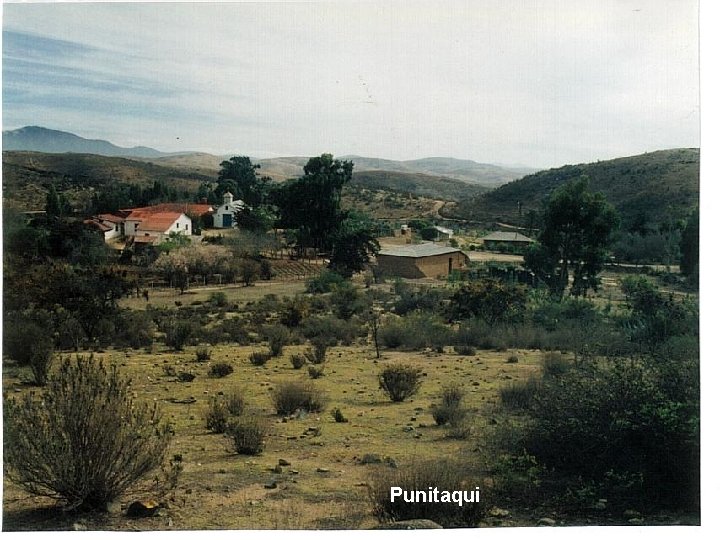 Punitaqui Punitaqui