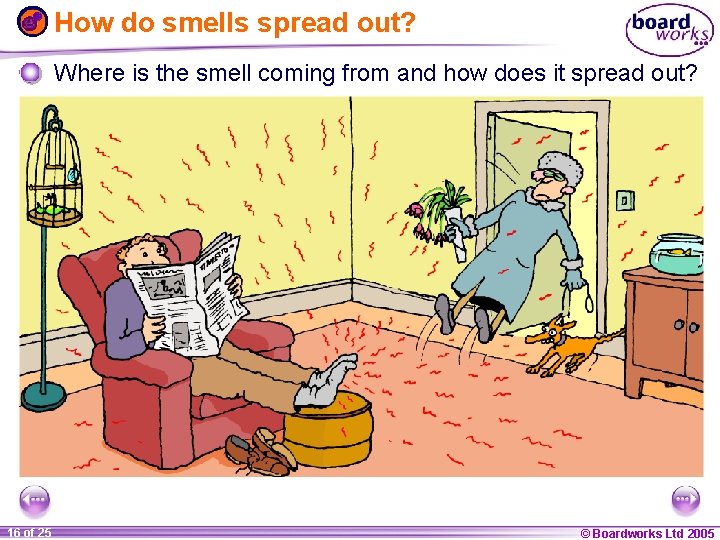 How do smells spread out? Where is the smell coming from and how does