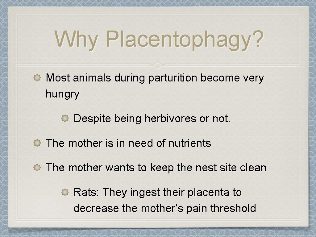Why Placentophagy? Most animals during parturition become very hungry Despite being herbivores or not.