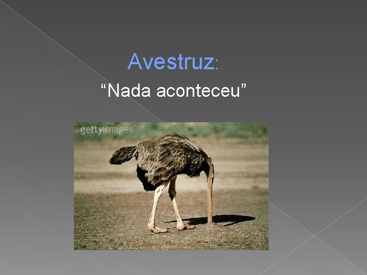 Avestruz: “Nada aconteceu” 