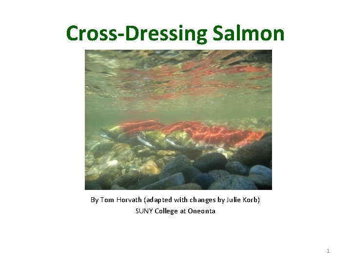 Cross-Dressing Salmon By Tom Horvath (adapted with changes by Julie Korb) SUNY College at