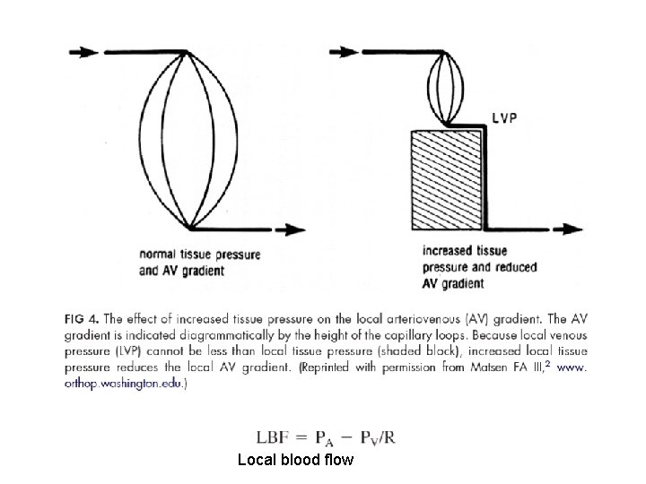 Local blood flow 