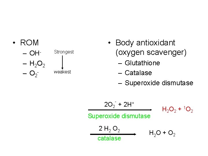  • ROM – OH– H 2 O 2 – O 2 - Strongest