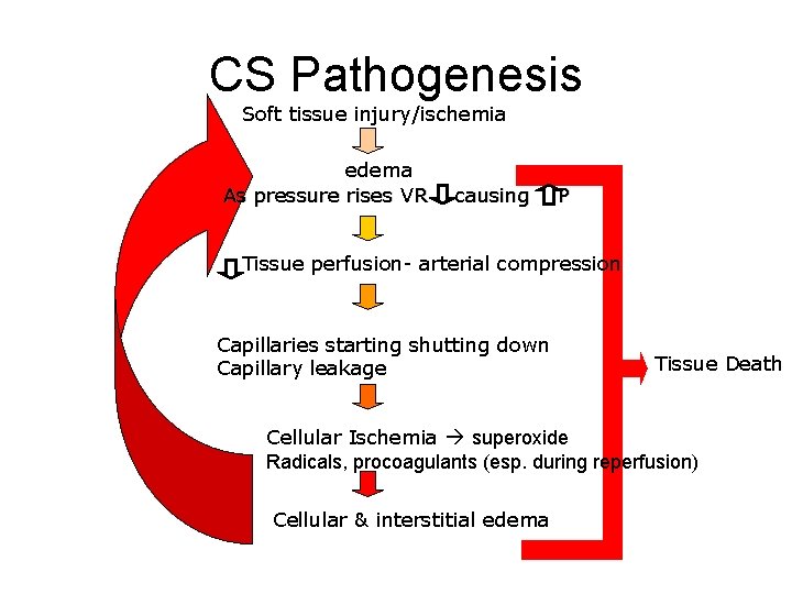 CS Pathogenesis Soft tissue injury/ischemia edema As pressure rises VR causing P Tissue perfusion-
