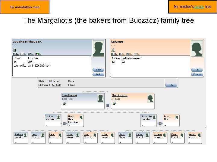 My mother’s family tree The Margaliot’s (the bakers from Buczacz) family tree 