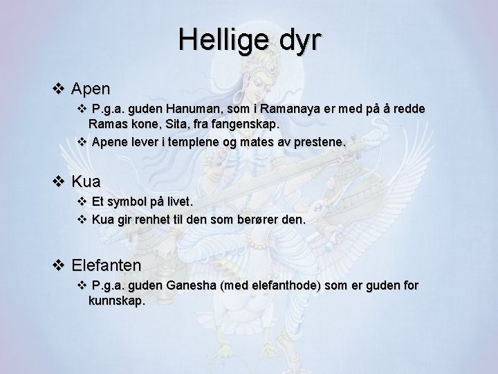 Hellige dyr v Apen v P. g. a. guden Hanuman, som i Ramanaya er