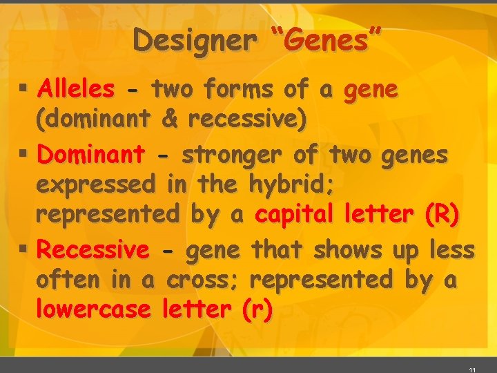 Designer “Genes” § Alleles - two forms of a gene (dominant & recessive) §