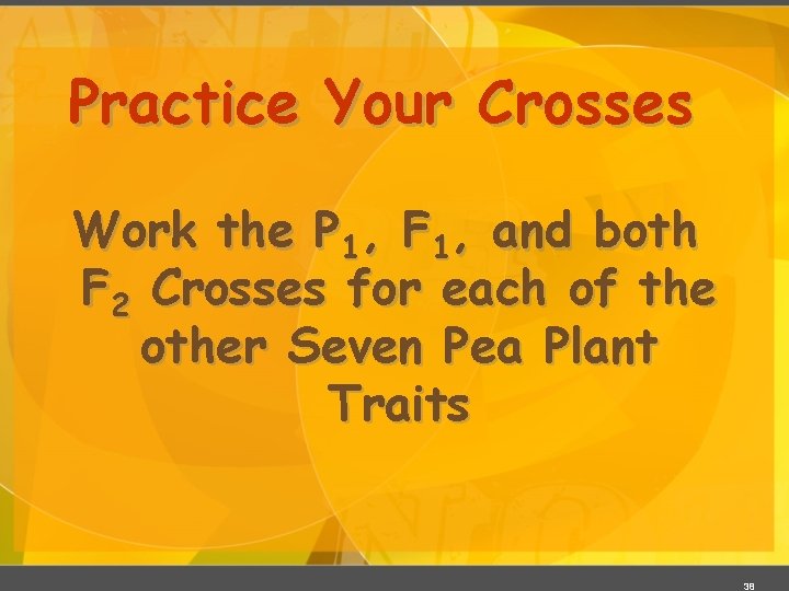 Practice Your Crosses Work the P 1, F 1, and both F 2 Crosses