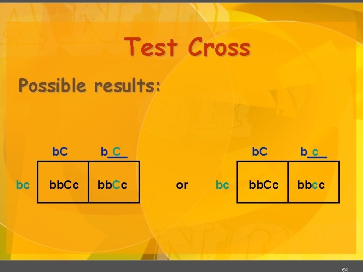 Test Cross Possible results: bc b. C b___ C bb. Cc or bc b.