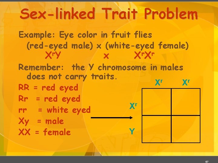 Sex-linked Trait Problem Example: Eye color in fruit flies (red-eyed male) x (white-eyed female)