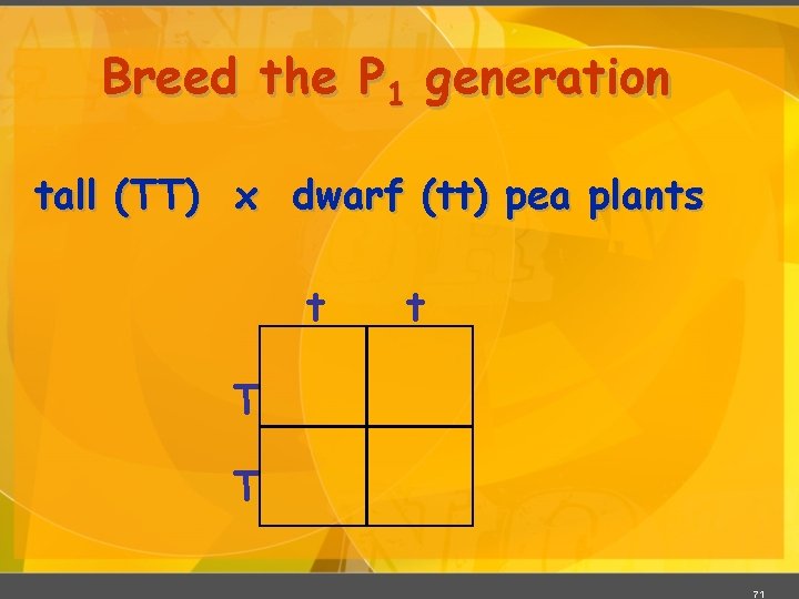 Breed the P 1 generation tall (TT) x dwarf (tt) pea plants t t