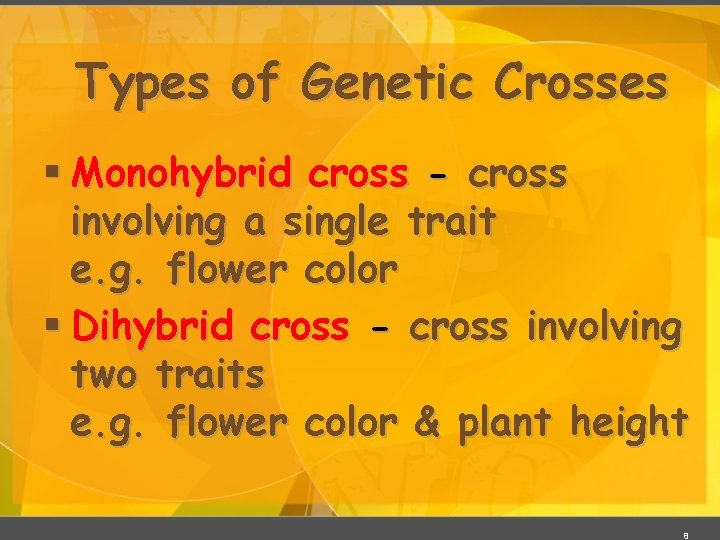 Types of Genetic Crosses § Monohybrid cross - cross involving a single trait e.