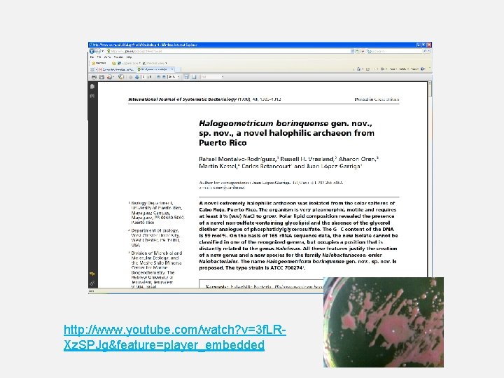 http: //www. youtube. com/watch? v=3 f. LRXz. SPJg&feature=player_embedded http: //www. youtube. com/watch? v=3 f. LRXz. SPJg&feature=player_embedded