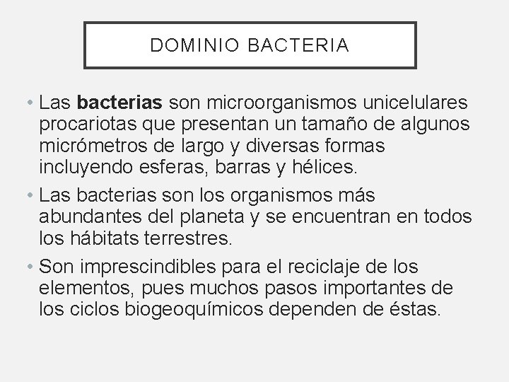 DOMINIO BACTERIA • Las bacterias son microorganismos unicelulares procariotas que presentan un tamaño de DOMINIO BACTERIA • Las bacterias son microorganismos unicelulares procariotas que presentan un tamaño de