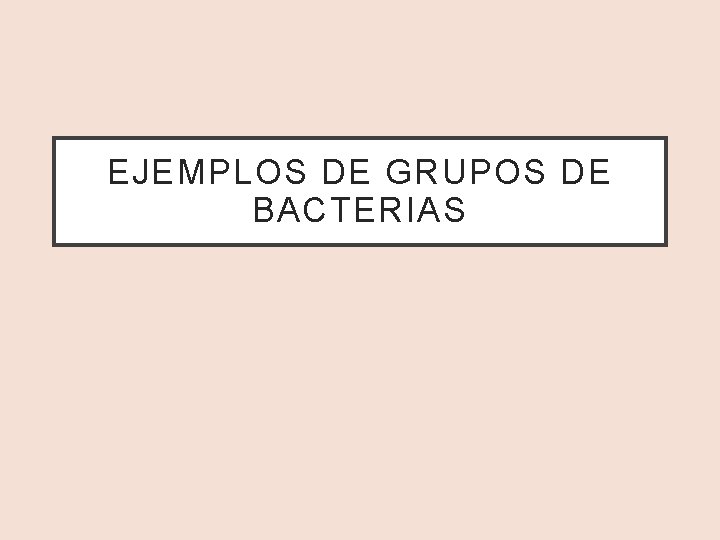 EJEMPLOS DE GRUPOS DE BACTERIAS EJEMPLOS DE GRUPOS DE BACTERIAS