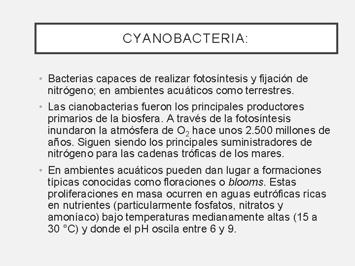 CYANOBACTERIA: • Bacterias capaces de realizar fotosíntesis y fijación de nitrógeno; en ambientes acuáticos CYANOBACTERIA: • Bacterias capaces de realizar fotosíntesis y fijación de nitrógeno; en ambientes acuáticos
