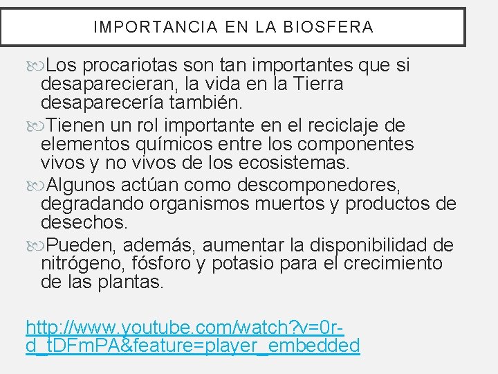 IMPORTANCIA EN LA BIOSFERA Los procariotas son tan importantes que si desaparecieran, la vida IMPORTANCIA EN LA BIOSFERA Los procariotas son tan importantes que si desaparecieran, la vida