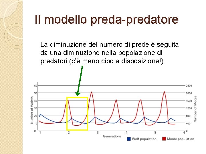 Il modello preda-predatore La diminuzione del numero di prede è seguita da una diminuzione