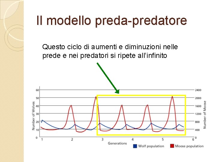 Il modello preda-predatore Questo ciclo di aumenti e diminuzioni nelle prede e nei predatori