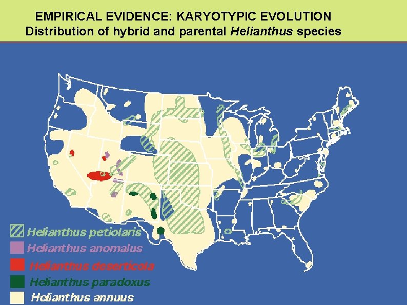 EMPIRICAL EVIDENCE: KARYOTYPIC EVOLUTION Distribution of hybrid and parental Helianthus species 