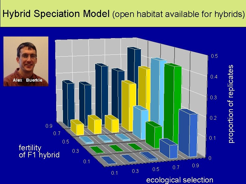 Frequency of Hybrid Speciation Hybrid speciation Hybrid Speciation Modelavailable (open habitat available for hybrids)