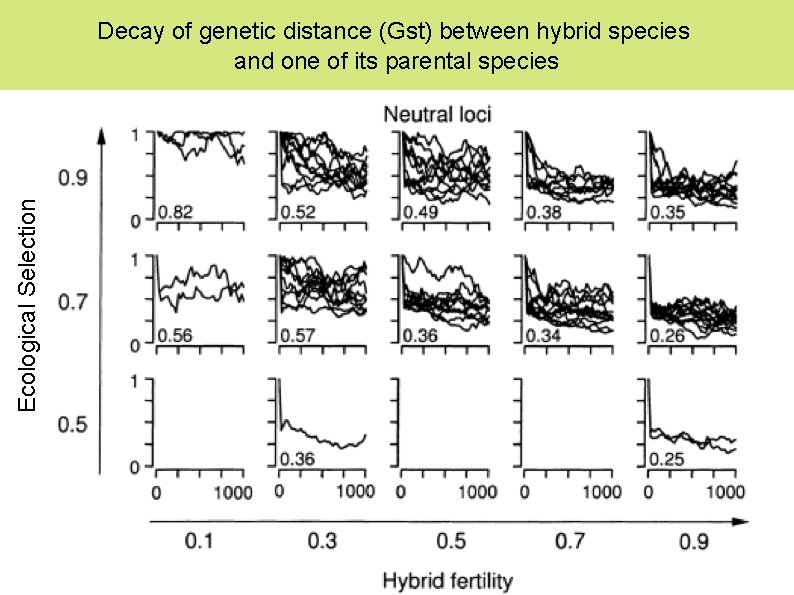 Ecological Selection Decay of genetic distance (Gst) between hybrid species and one of its