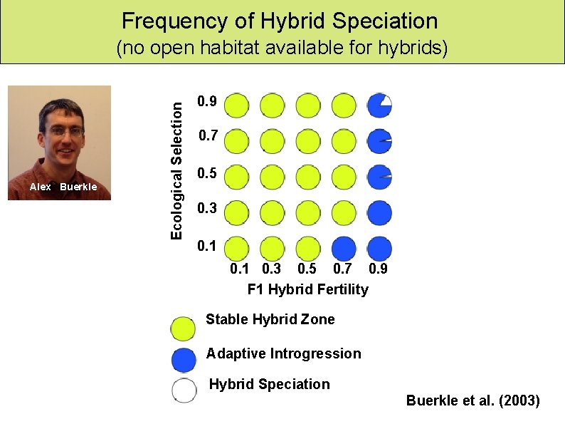 Hybrid speciation Frequency of Hybrid Speciation Alex Buerkle Ecological Selection (no open habitat available