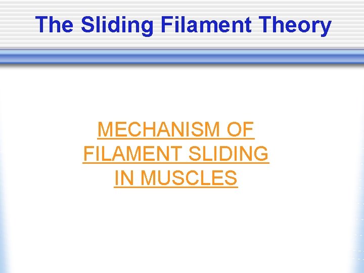 The Sliding Filament Theory MECHANISM OF FILAMENT SLIDING IN MUSCLES 