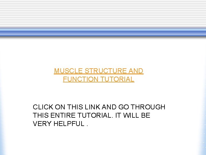 MUSCLE STRUCTURE AND FUNCTION TUTORIAL CLICK ON THIS LINK AND GO THROUGH THIS ENTIRE