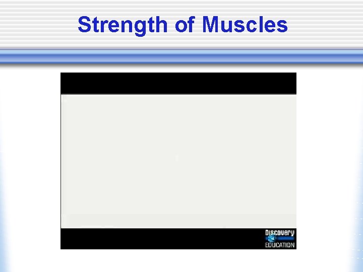 Strength of Muscles 