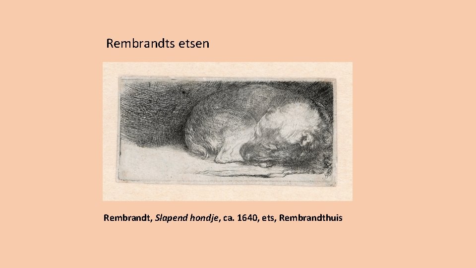 Rembrandts etsen Rembrandt, Slapend hondje, ca. 1640, ets, Rembrandthuis 