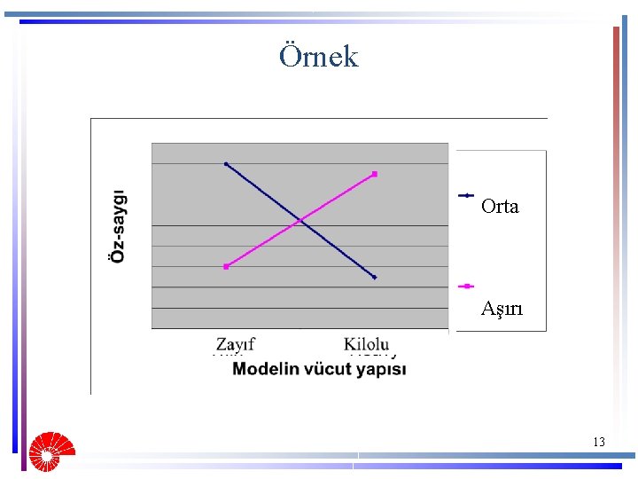 Örnek Orta Aşırı 13 