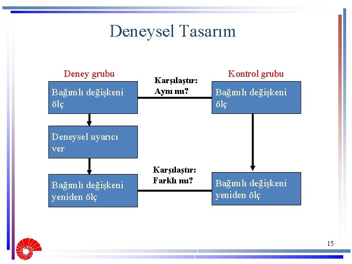 Deneysel Tasarım Deney grubu Bağımlı değişkeni ölç Karşılaştır: Aynı mı? Kontrol grubu Bağımlı değişkeni