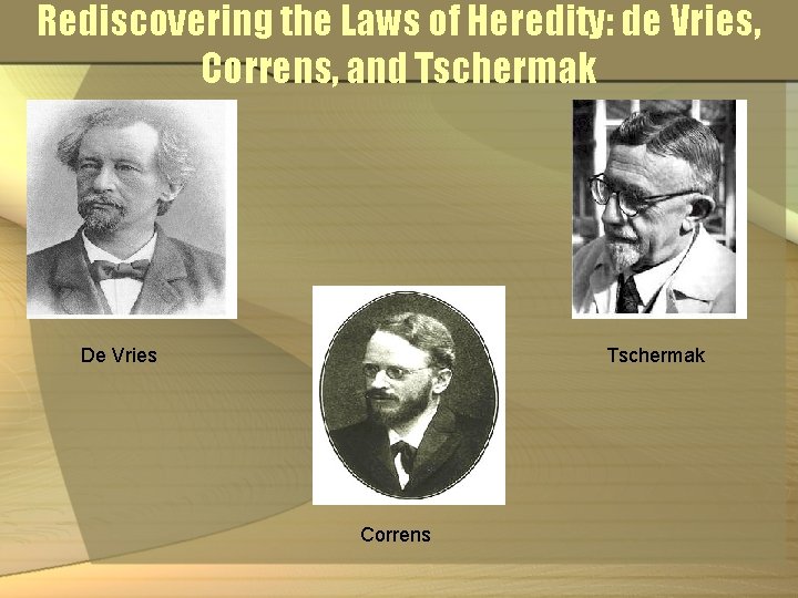 Rediscovering the Laws of Heredity: de Vries, Correns, and Tschermak De Vries Tschermak Correns