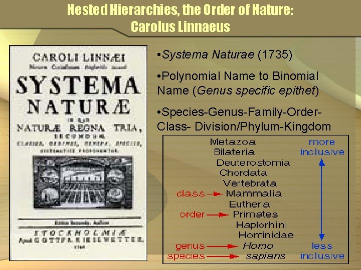 Nested Hierarchies, the Order of Nature: Carolus Linnaeus • Systema Naturae (1735) • Polynomial