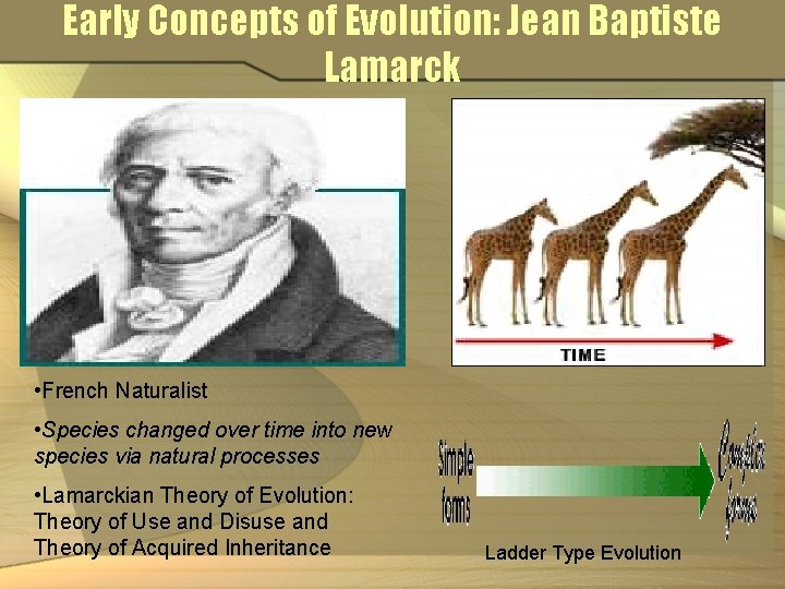 Early Concepts of Evolution: Jean Baptiste Lamarck • French Naturalist • Species changed over