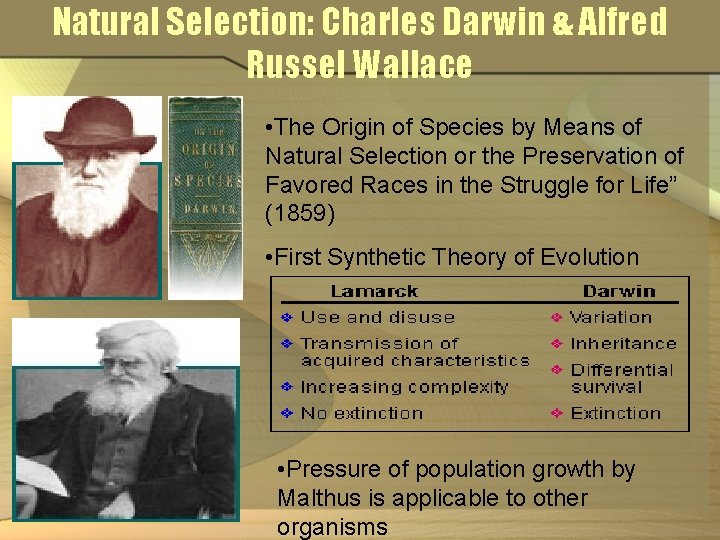 Natural Selection: Charles Darwin & Alfred Russel Wallace • The Origin of Species by