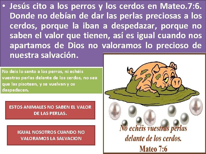  • Jesús cito a los perros y los cerdos en Mateo. 7: 6.