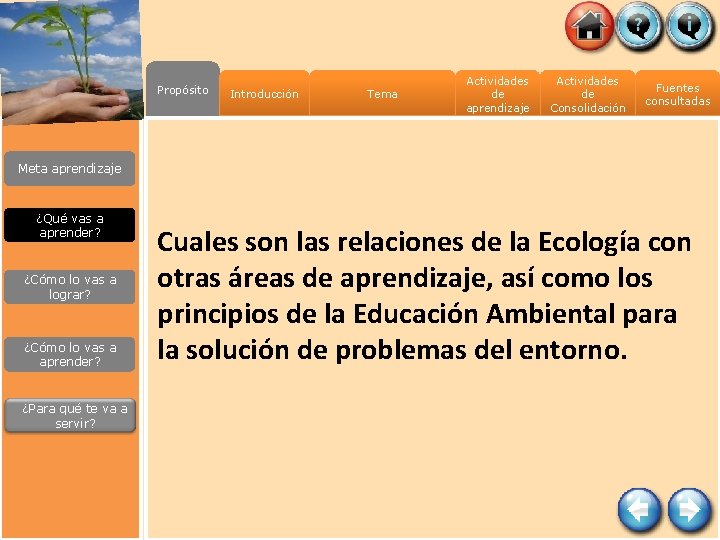 Propósito Introducción Tema Actividades de aprendizaje Actividades de Consolidación Fuentes consultadas Meta aprendizaje ¿Qué