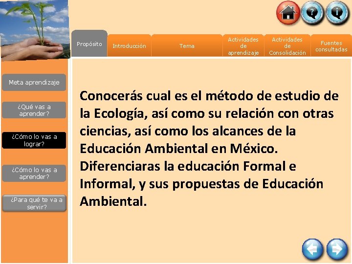 Propósito Introducción Tema Actividades de aprendizaje Actividades de Consolidación Fuentes consultadas Meta aprendizaje ¿Qué