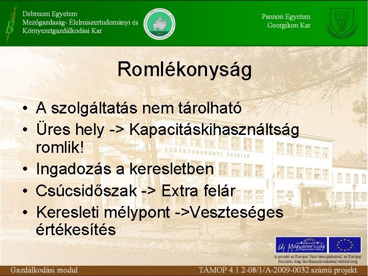 Romlékonyság • A szolgáltatás nem tárolható • Üres hely -> Kapacitáskihasználtság romlik! • Ingadozás