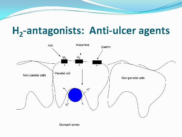 H 2 -antagonists: Anti-ulcer agents 