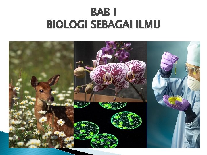 BAB I BIOLOGI SEBAGAI ILMU 