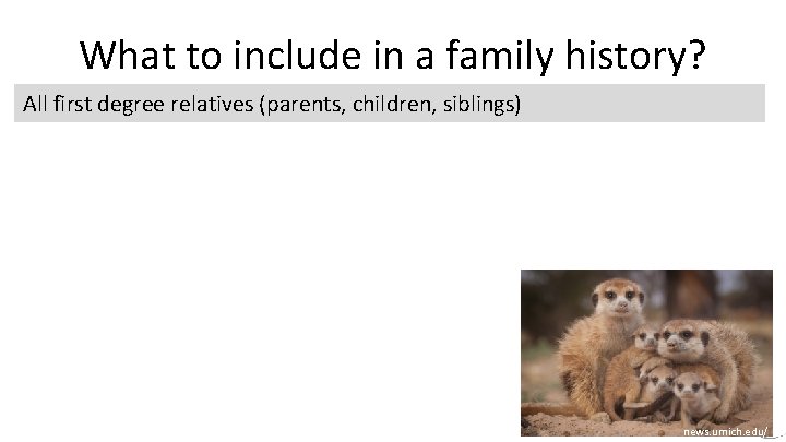 What to include in a family history? All first degree relatives (parents, children, siblings)